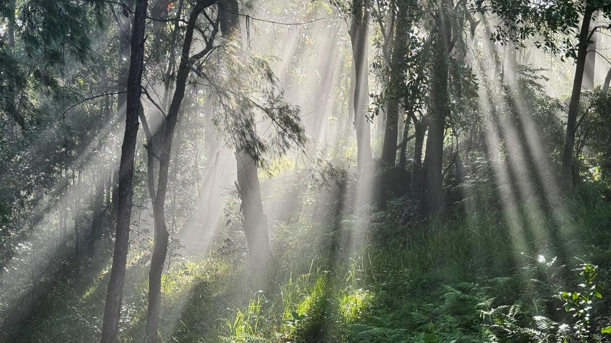 Heaven In The Hills Retreat *