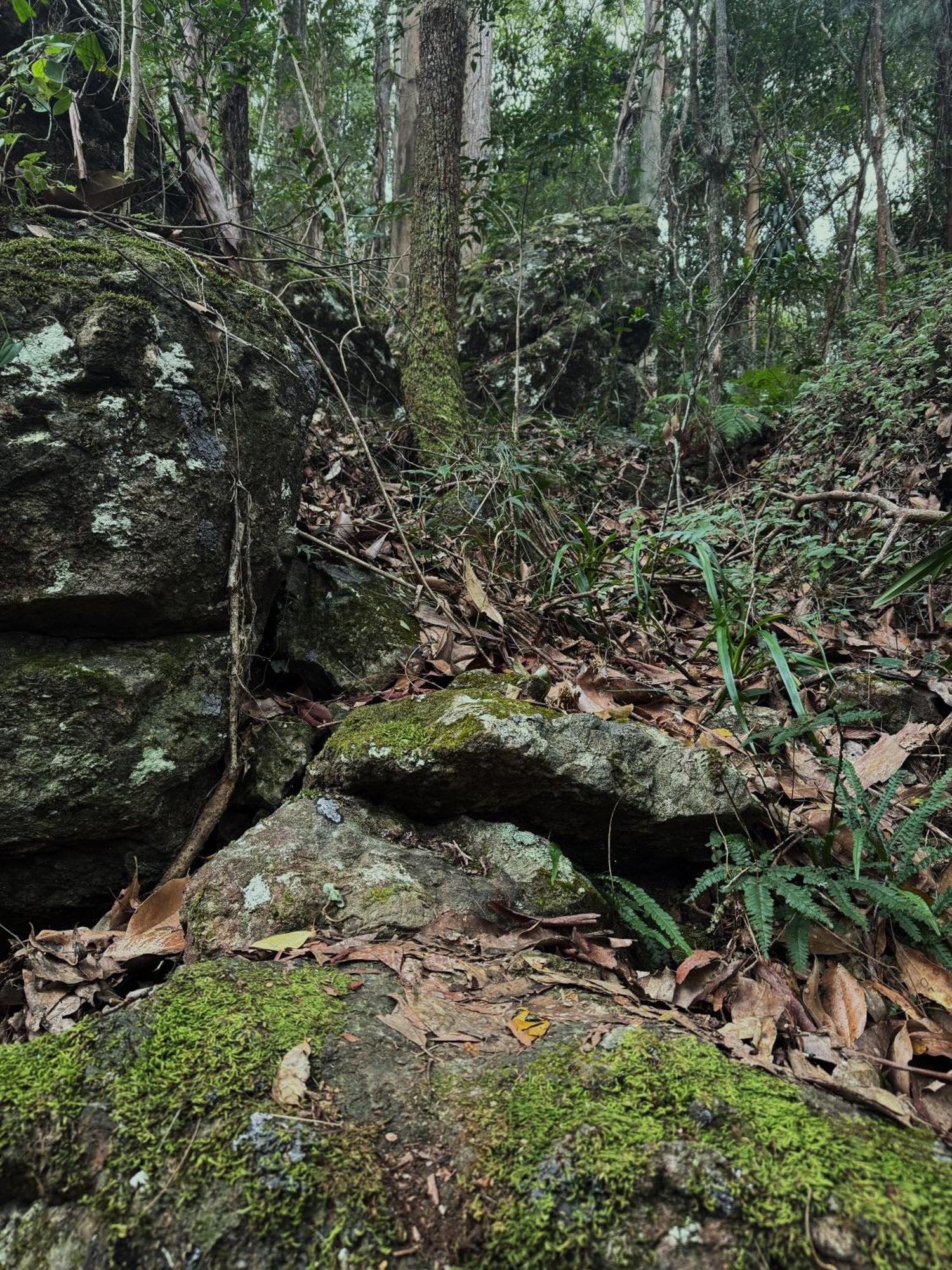 Lodge Heaven In The Hills Retreat Maleny