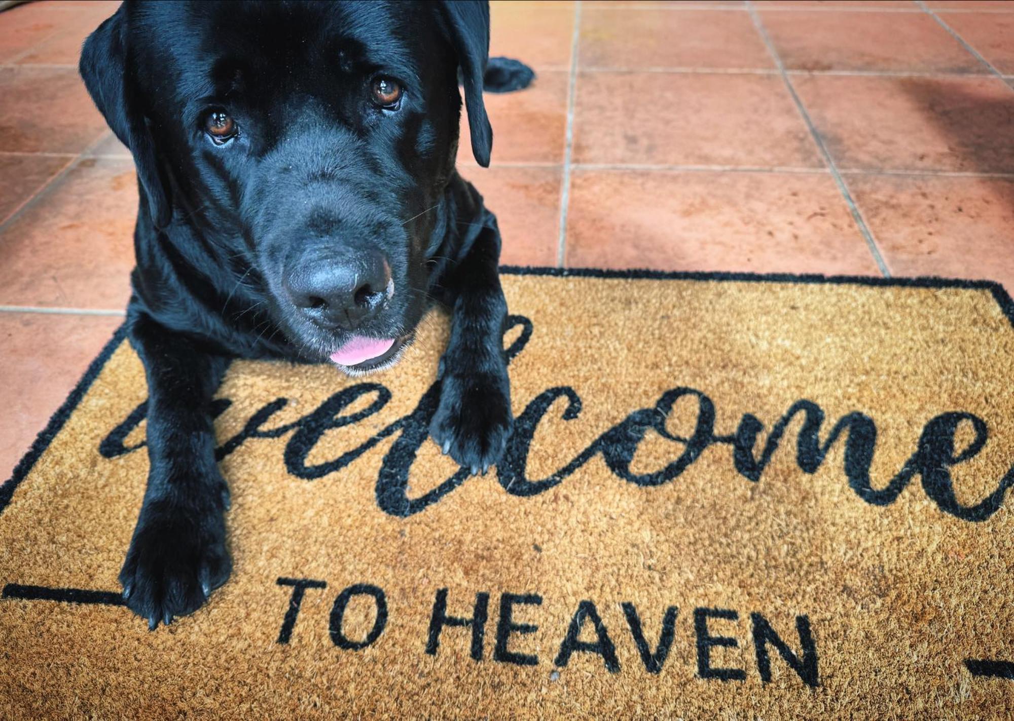 Heaven In The Hills Retreat